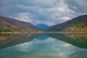 Три роки спільної турботи про Берег Закарпатського Моря